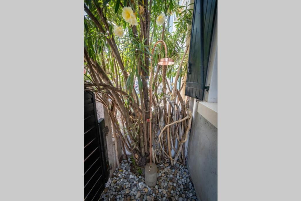 Côte des Basques, terrasse, confort et qualité Biarriz Exterior foto